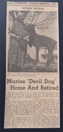 Devil Dog