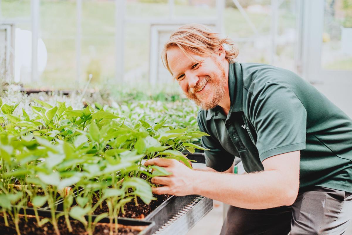 Vhcc Instructor Offering 10 Week Beginner Course On Gardening At Home Latest Headlines Swvatoday Com