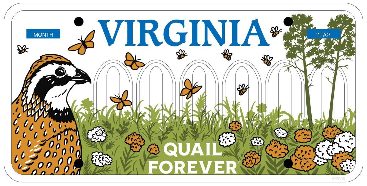 Quail Forever Plate