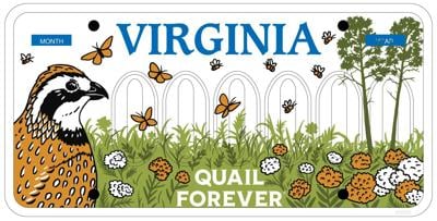 Quail Forever Plate