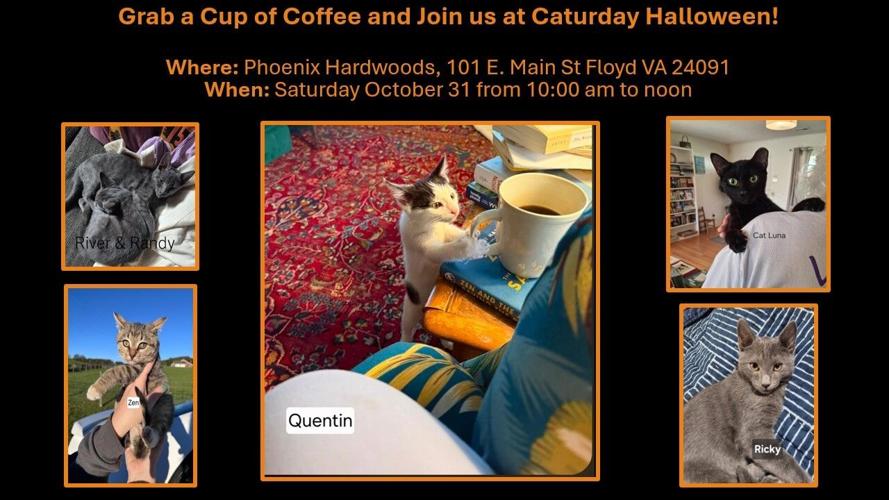 Caturday.jpg