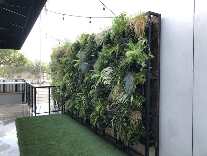 MendoFarmsStudioCity_maint_Sept2019 (2).jpg