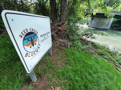 Reed Creek 2