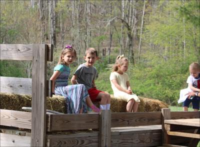 The view from a hayride