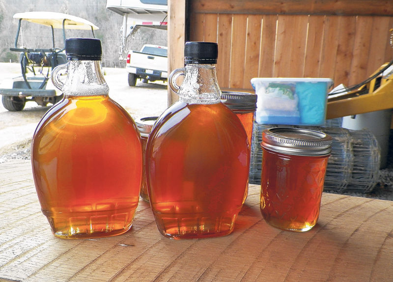 Making maple syrup in Bland County