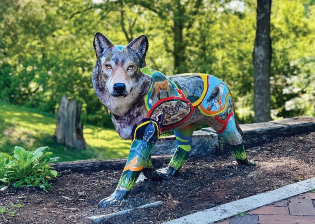 Wolf Project