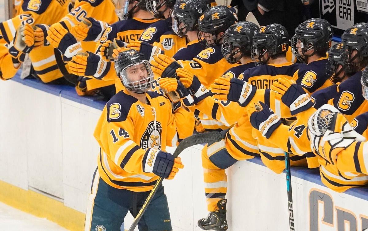 Canisius Niagara Hockey