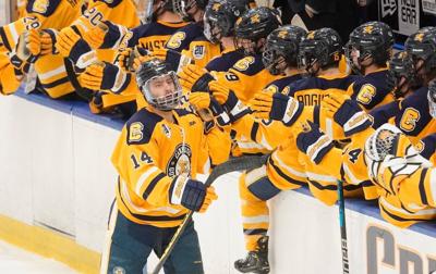 Canisius Niagara Hockey