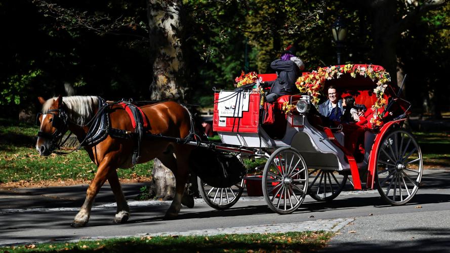 NEW YORK-HORSES/