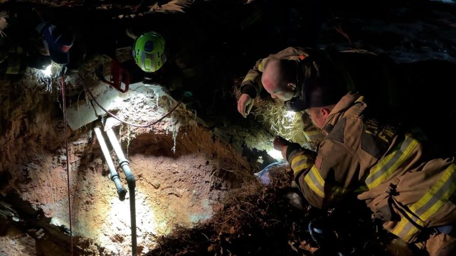 021326-lna-news-dogrescue-p1