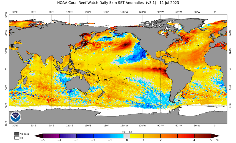 Current SST anomalies