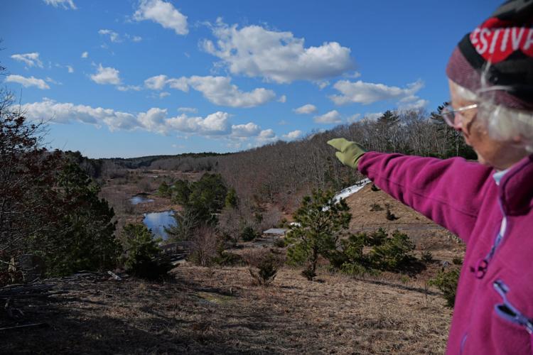 Climate Cranberry Bog Restoration