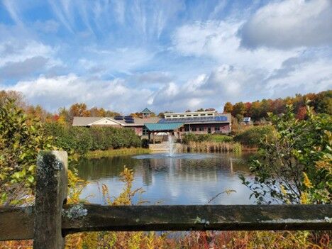 061826-fly-news-art-ecovillage.jpg