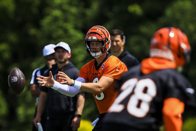 NFL: Cincinnati Bengals Minicamp