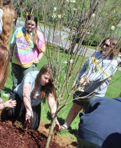 042724-smy-news-main-ArborDay-p3.jpg