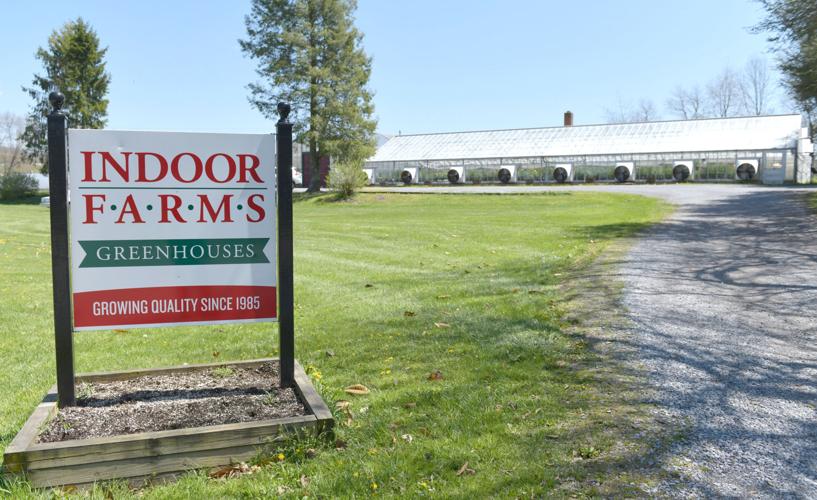 Indoor Farms Greenhouse
