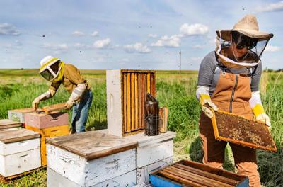 Living the sweet life at honey producer Fat Head Farms