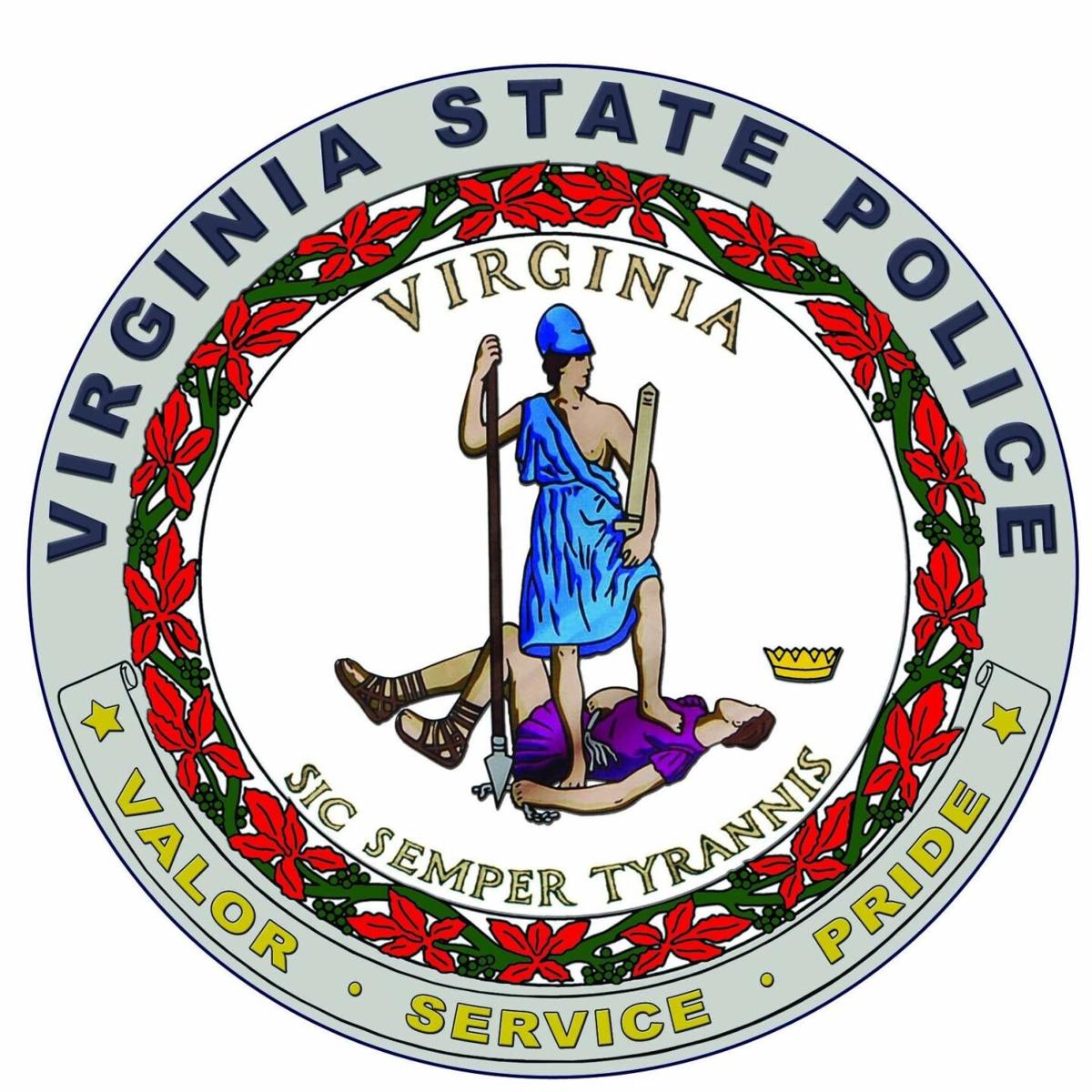 VSP logo