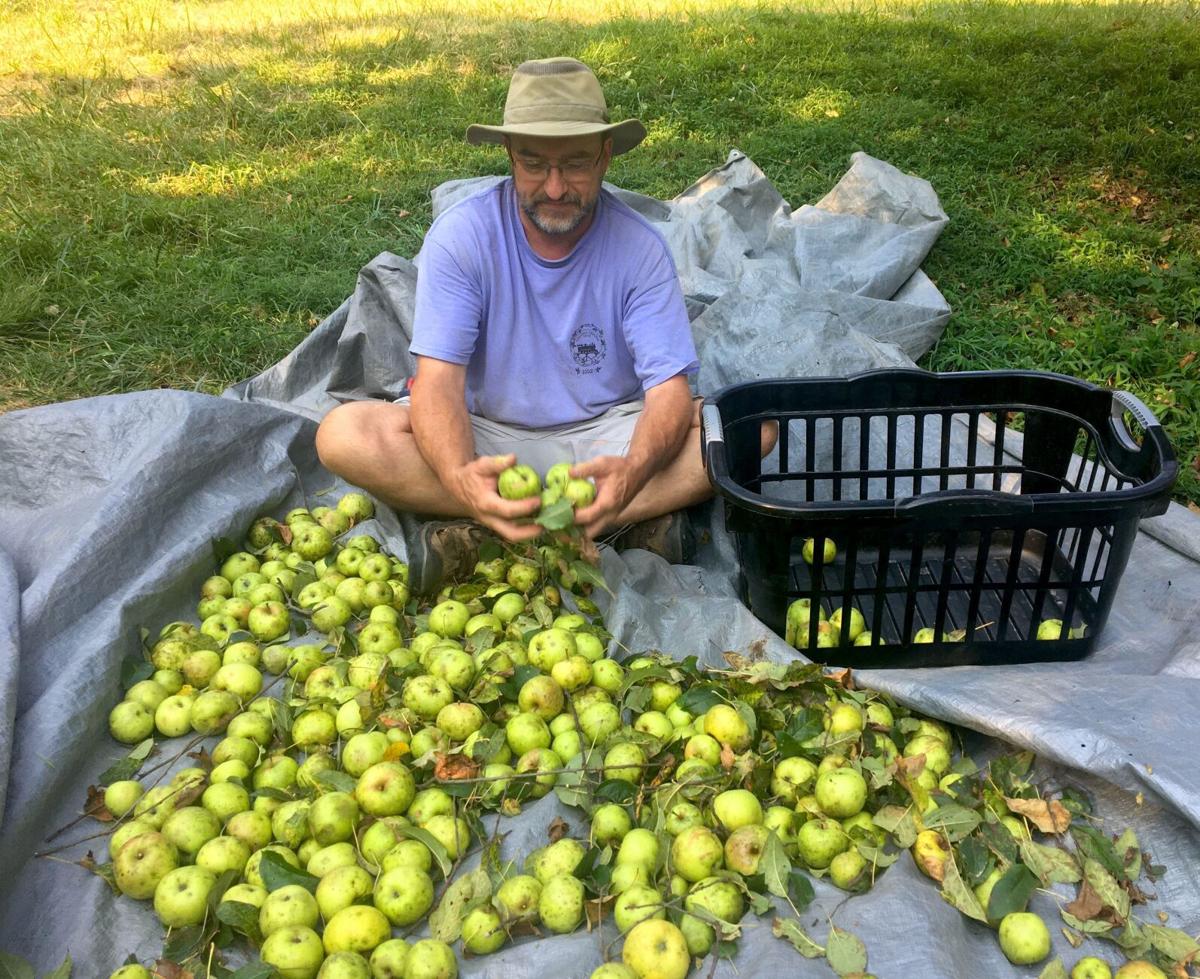 Tumbling Creek Cider Co.