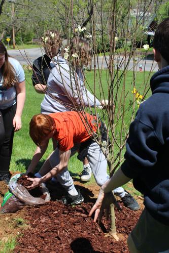 042724-smy-news-main-ArborDay-p4.jpg