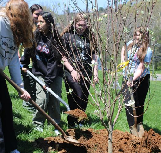 042724-smy-news-main-ArborDay-p6.jpg