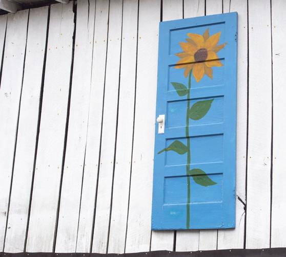 Blue Door Garden 06