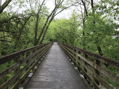 Creeper Trail