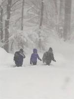 Readers share photos of November storm