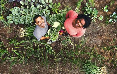 Hawkins Homestead Farm is a small farm with big dreams