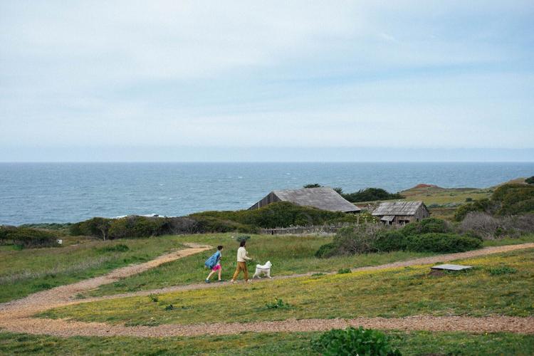 An ocean view along the trails at The Sea Ranch Lodge on Wednesday, March 30, 2022.