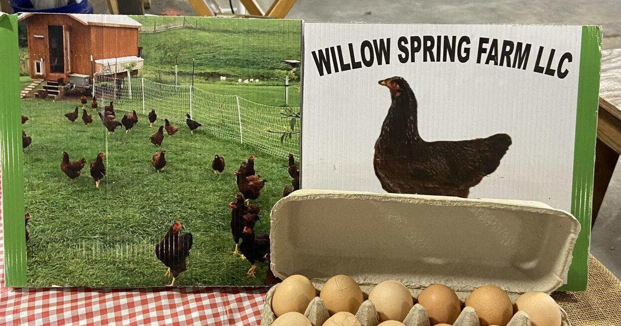 Fresh eggs on the menu - Vimarsana News
