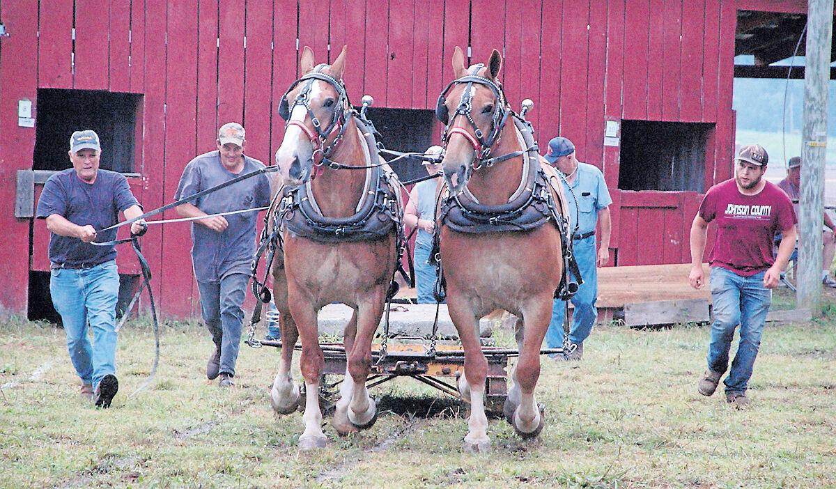 Rich Valley Fair & Horse Show is underway