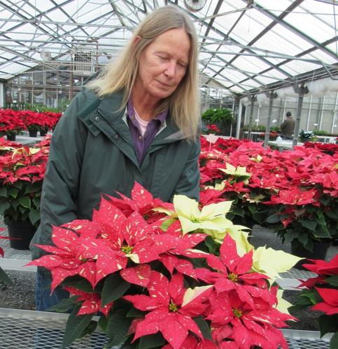 Indoor Farms Greenhouses