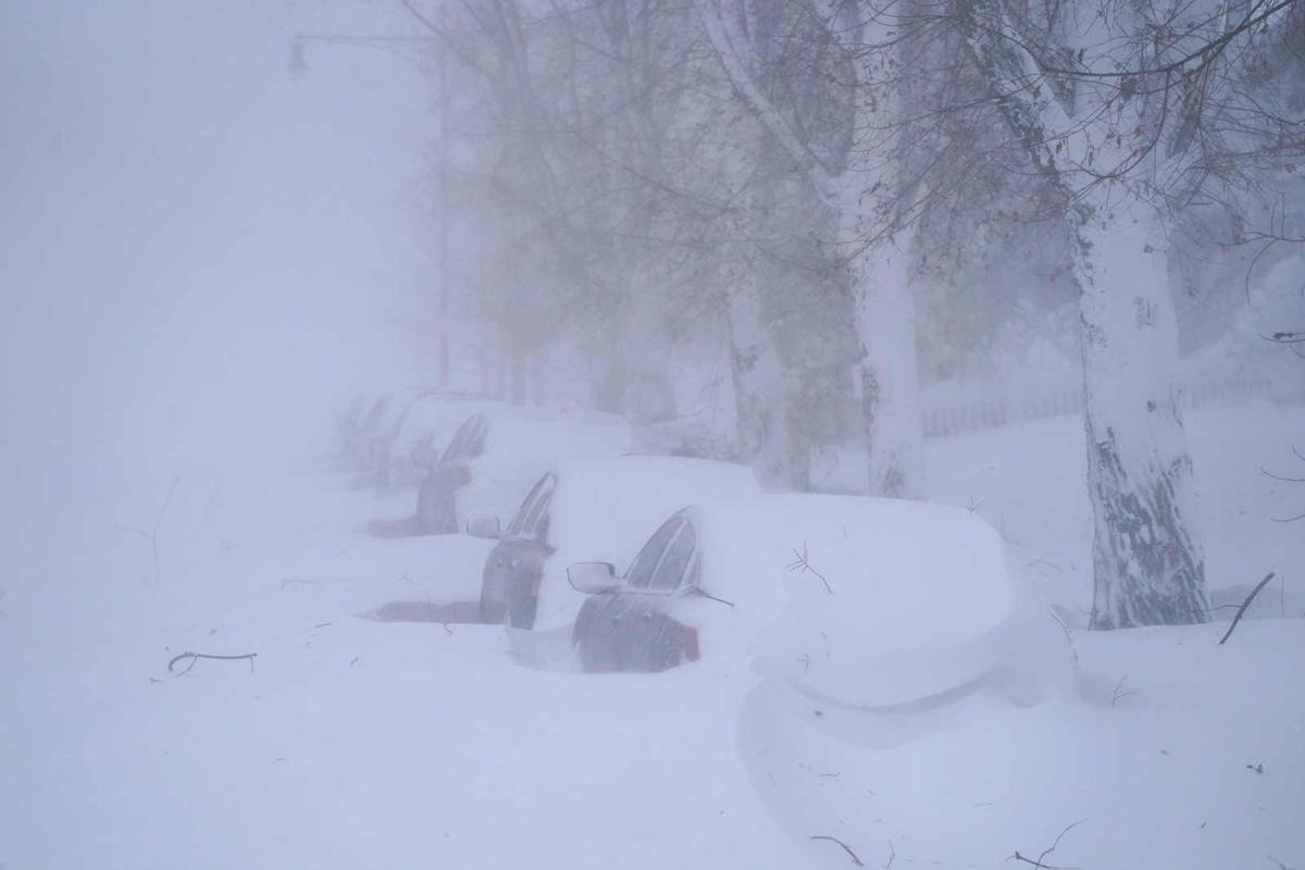 Buffalo Blizzard
