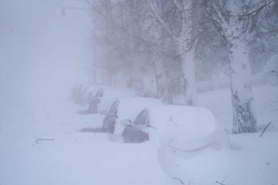 Buffalo Blizzard