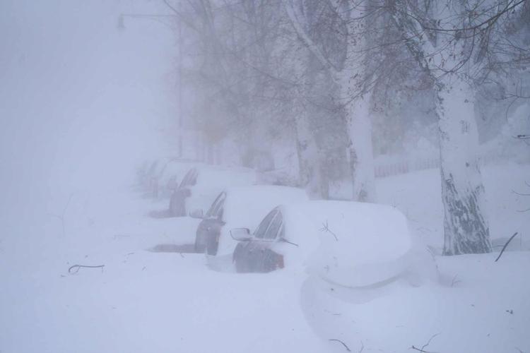 Buffalo Blizzard