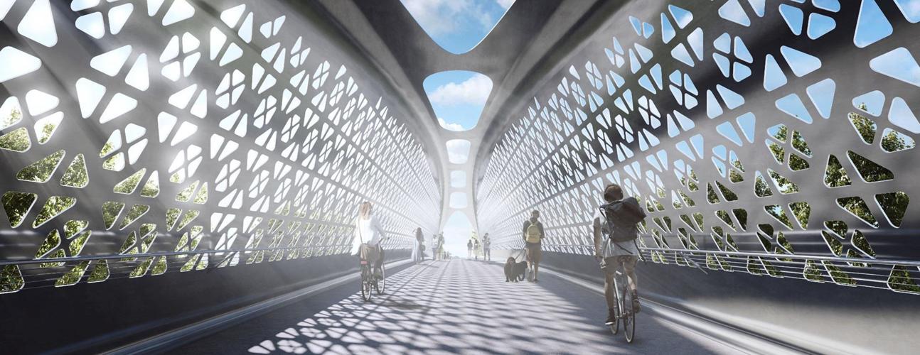 Pedestrian_bridge#2
