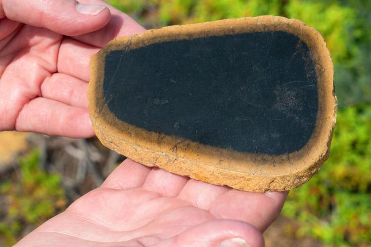 A stone from the Tablelands in the national park of Gros Morne.