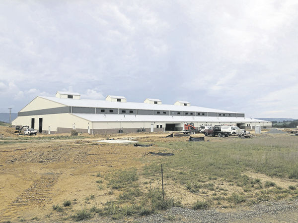 APEX outside