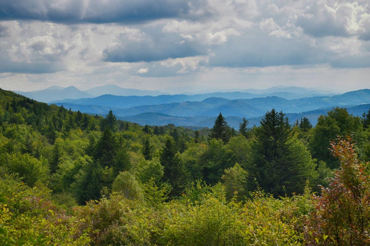 Trail Restoration