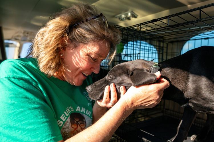 Pet Rescue Flights