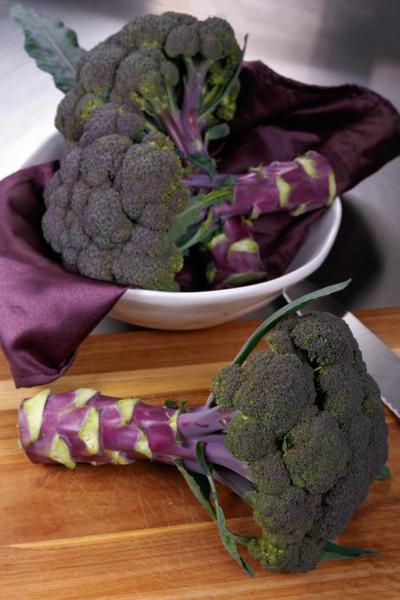 Myers Purple broccoli