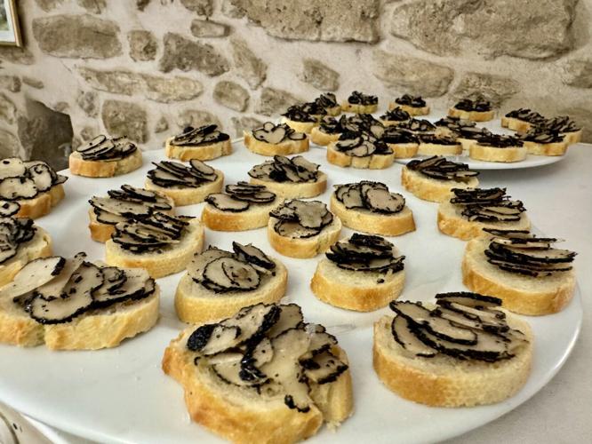 Passengers who took a shore excursion to a truffle farm in Grignan watched dogs hunt for the subterranean treat before sampling the fancy fungus.