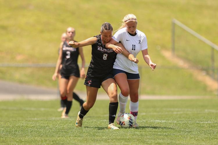Wise Central vs Richlands - Region 2D Semifinals Soccer