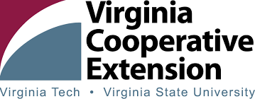 VCE logo