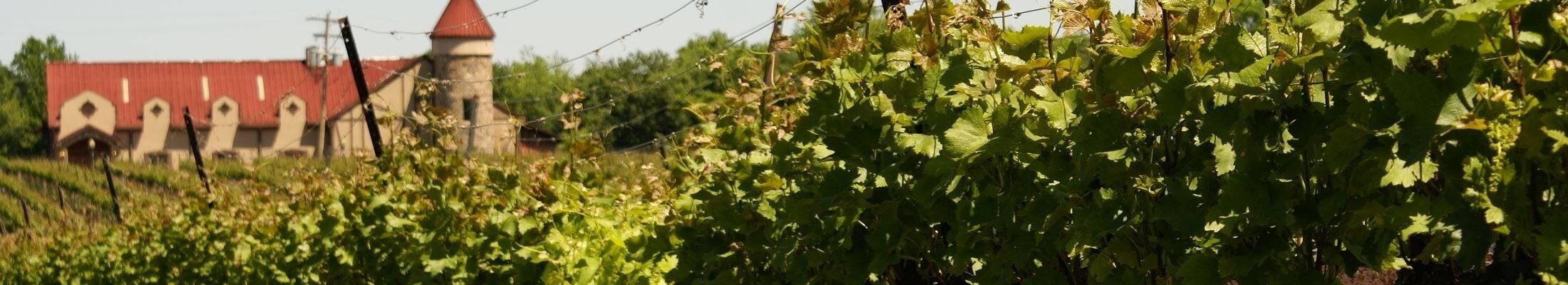 News Flash - RRHD Advises District Residents of Rabid Skunk in Orange County