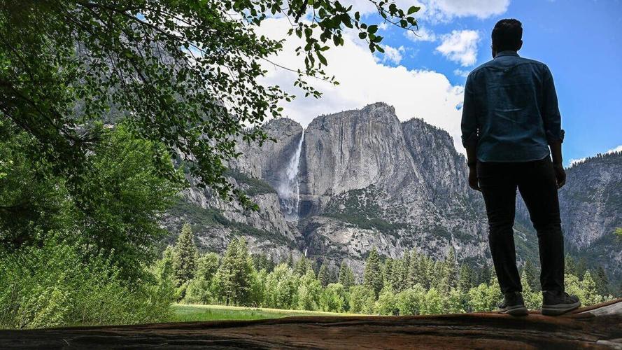 A Yosemite National Park visitor stands atop a fallen tree to get a better view of the park’ s famous Upper Yosemite Falls on a spectacular spring day in the park on Thursday, May 21, 2026.