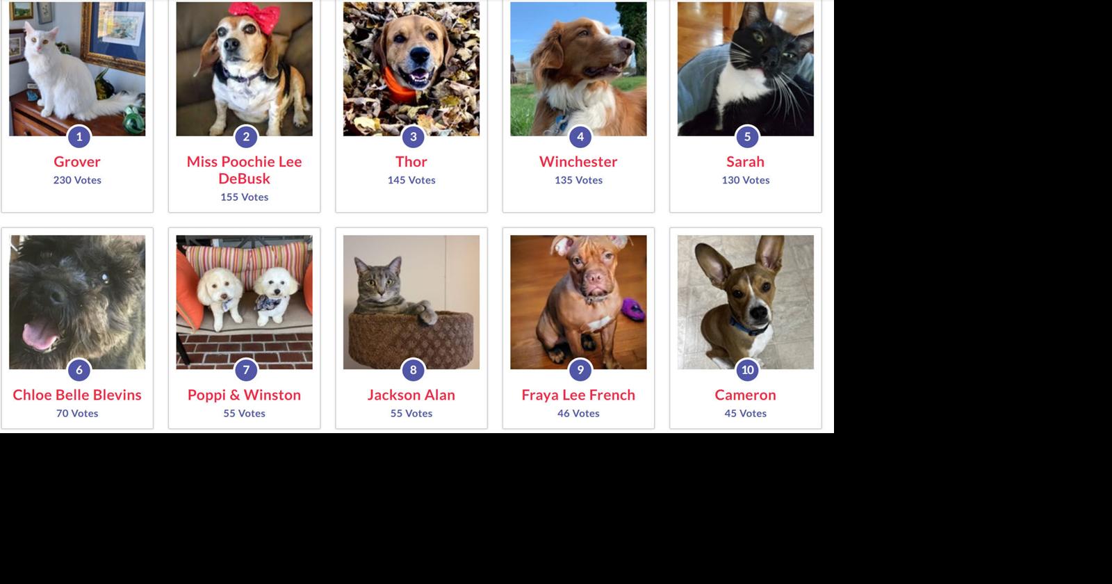 Time remains to enter and vote in Smyth County Humane Society Pet Palooza Photo Contest