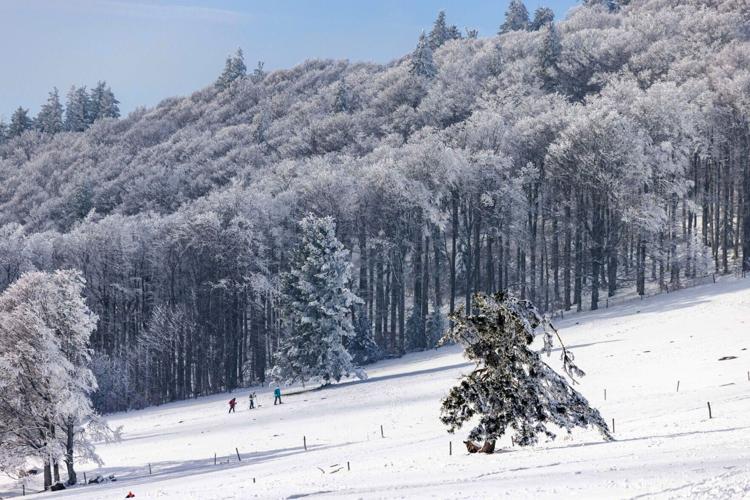 Snowshoe hikers walk through the snow, a sport that can be a sustainable alternative to skiing.