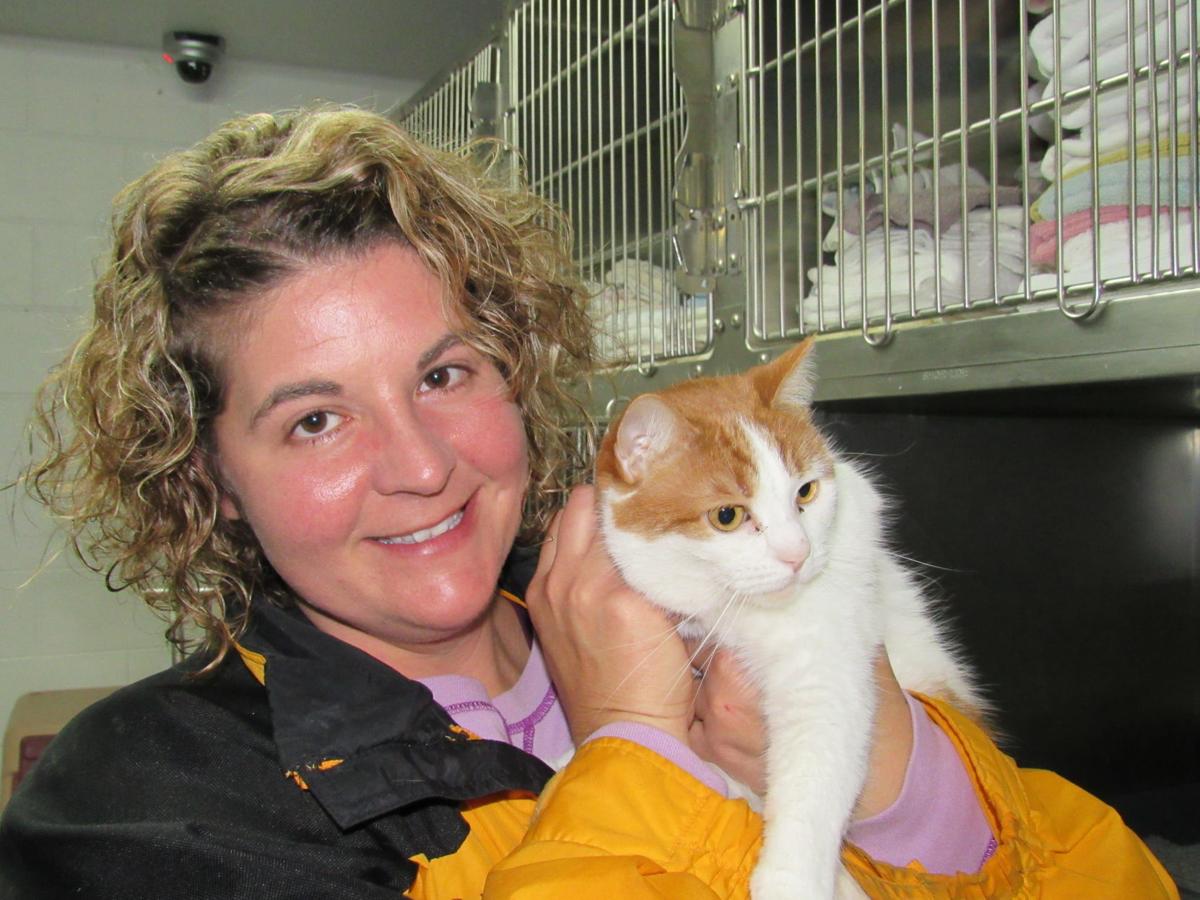 Animal shelter hit the road to find home for furry friends ...